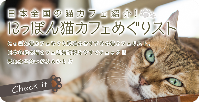 猫カフェめぐりスト